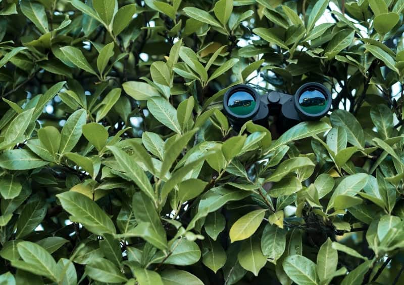 Librería de anuncios de Facebook Ads